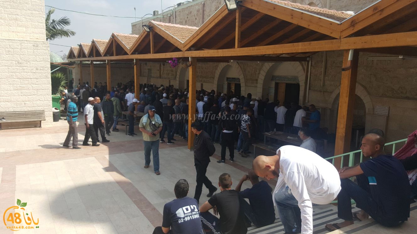 albeedjanaza (11).jpg